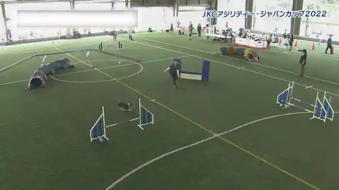 JKCアジリティージャパンカップ2022③