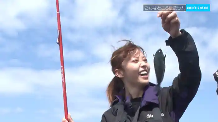 南房総市　天気晴朗なれど波高し～吉野七宝実編