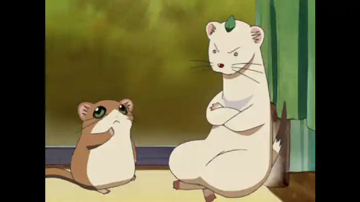 その1「コジョピー、パラダイスへ」/その2「コジョピーのキャンパスライフ」