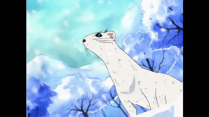 その1「コジョピーの秘密」/その2「コジョピーvsタッチン」