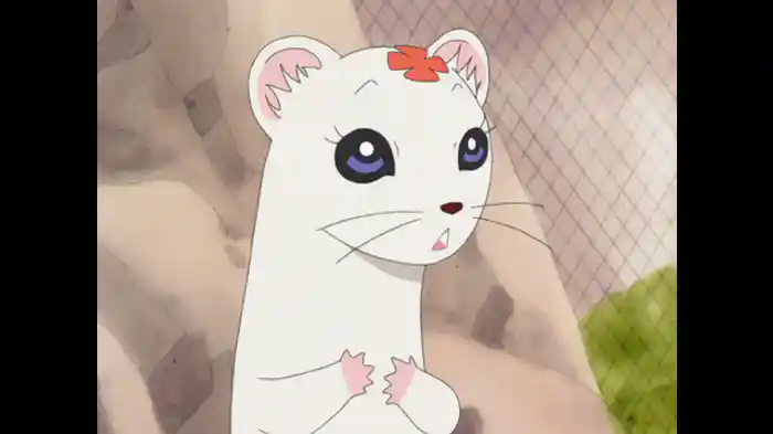 その1「コジョピー大変身!」/その2「恋するコジョピー」