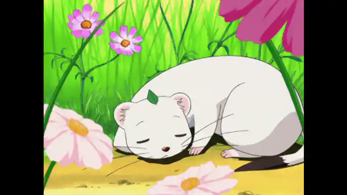 その1「すてきなハイキング」/その2「コスモス畑のツカハラ」