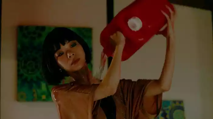 サワコとマチカ　狂乱の終焉