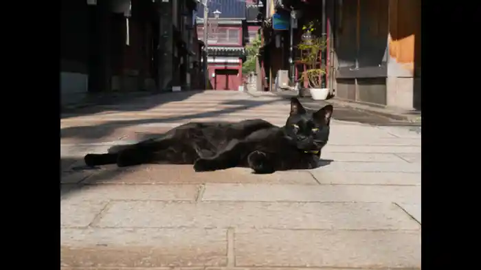 レトロ金沢 前編