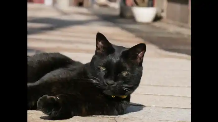 レトロ金沢 後編