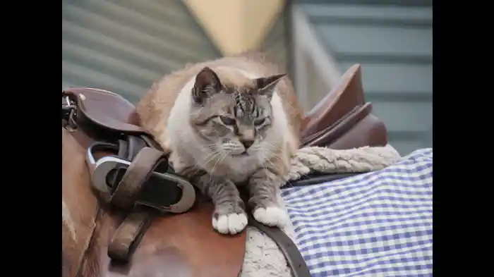 北海道1200キロ 前編