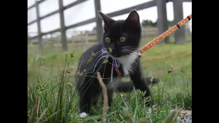 北海道1200キロ 後編