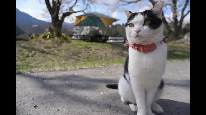 群馬 秘密の絶景