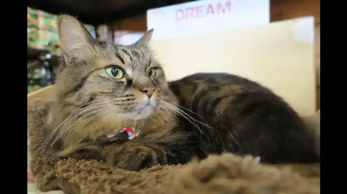 群馬 色とりどりの郷で