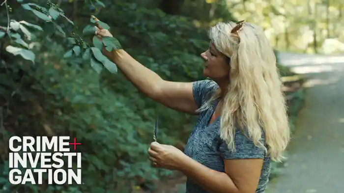 理想の夫 or 悪魔の夫