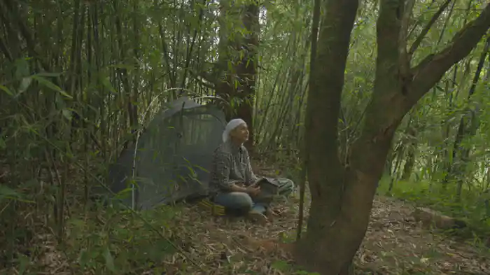 いつか遊んだ裏山の森へ