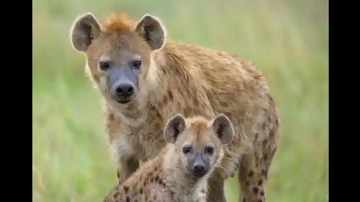 男と女のラブゲーム