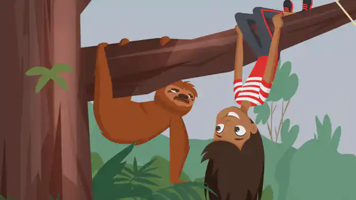 雨ときどきバナナ