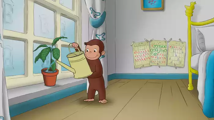 こりゃーあボカド？／ くもつかまえた