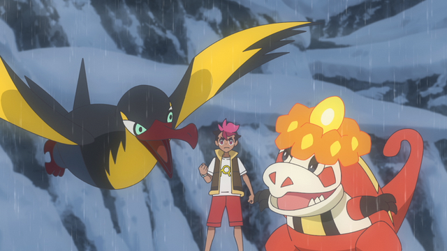 ふんばれアチゲータ、明日のために