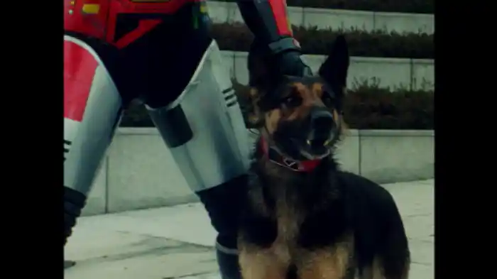 爆弾じかけの犬