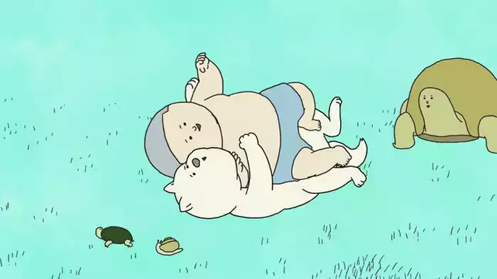 カメの回