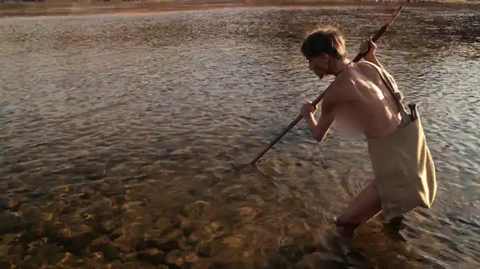 ブラジル 毒の罠