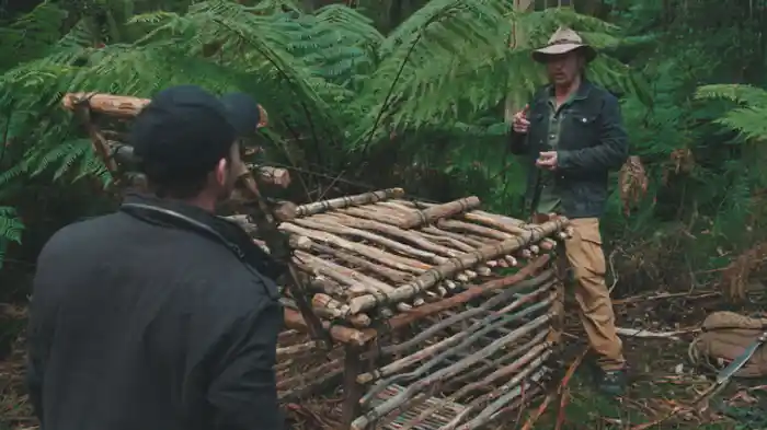 影を潜める捕食者