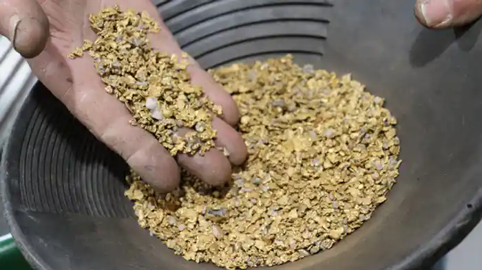 ギャンブルの結果