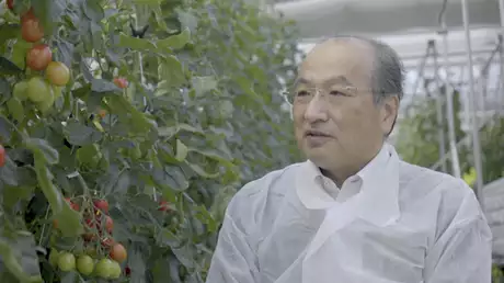 世界初のゲノム編集食品誕生 トマトとサバが拓く食の未来