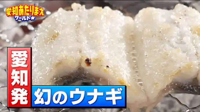 最強ごちそうＳＰ！！激安ウナギ＆極上イカ漁【西尾市】自分で焼いて食べる行列ウナギ店【南知多町】旬の絶品イカ漁！！とれたて食らう【岡崎市】旬たけのこメシ【可児市】最強温泉スパ