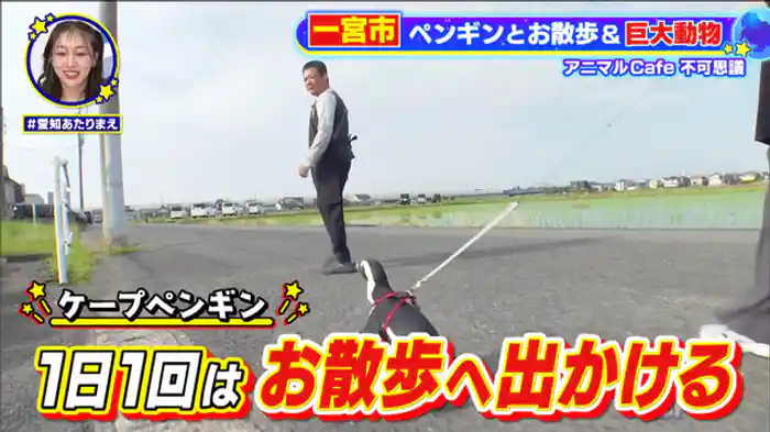 激安！！激レア！！激ウマ！！衝撃店に大潜入SP【北区】高級魚てんこ盛り＆価格巡り夫婦大喧嘩！！【一宮市】スタッフ70人の喫茶店！？常連客がメロメロに！！【川島ハイウェイオアシス】1日遊べるPAの賢い回り方！！