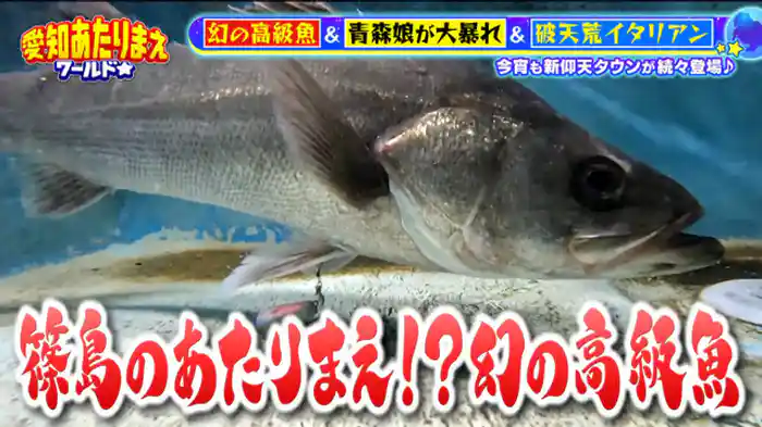 知多半島の激ウマ!激レア大集合SP【篠島】1本釣り超高級魚!300キロ大追跡の末…【南知多町】シラス激盛りパスタ&地元食材の極上ピザ!【阿久比町】食べたら最後!激辛鍋&カルボナーラかき氷!?