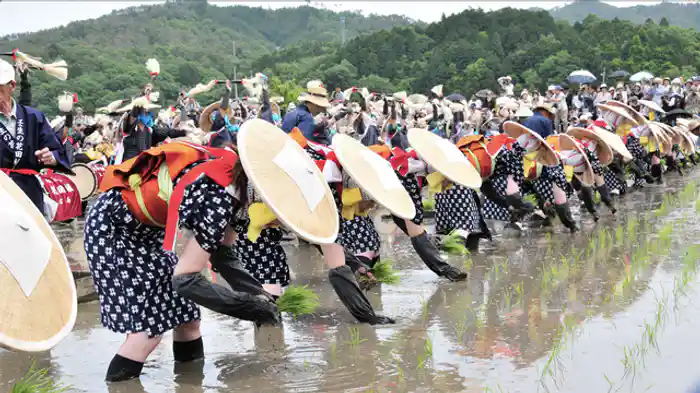 田んぼの芸能