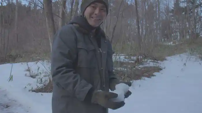 大きなモミの木の下で