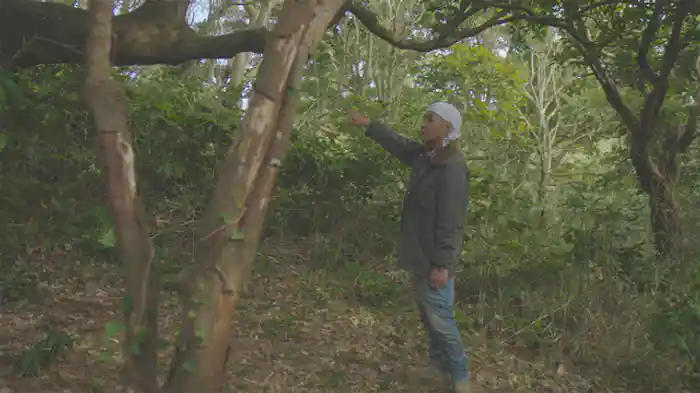 千葉　俺の居場所を探して