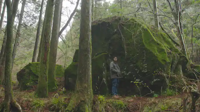 バラとヒロシと春雨の森