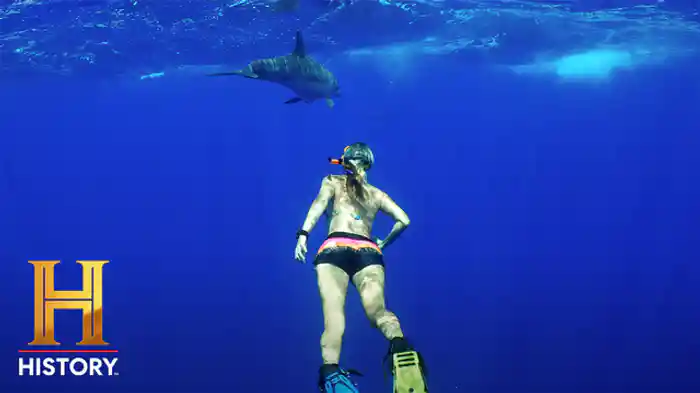 自然に飛び込む：知床、小笠原諸島、屋久島、白神山地