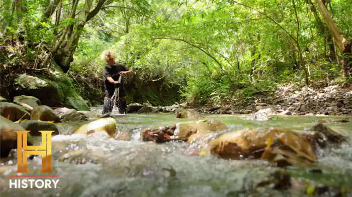 自然と繋がる：沖縄北部、西表島、奄美・徳之島ほか