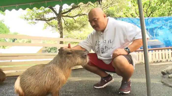 ポニーに乗ったオジサン、ヤギの乳搾り。
