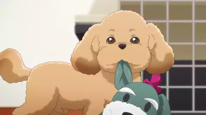 新しい名前