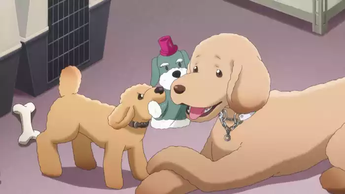 幸せな暮らし