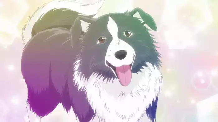 回る犬