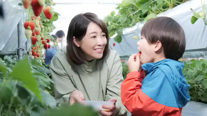 飯蛸は静かに笑う(前編)