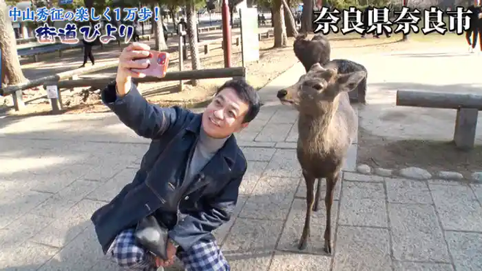 世界遺産の街・『奈良』発祥のグルメを満喫！