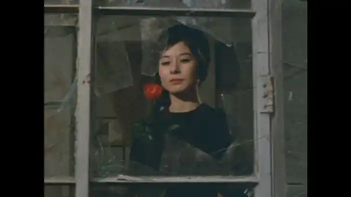 「燃えるバラ」