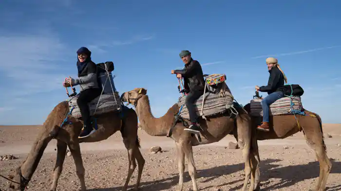 3人の聖なる夜に