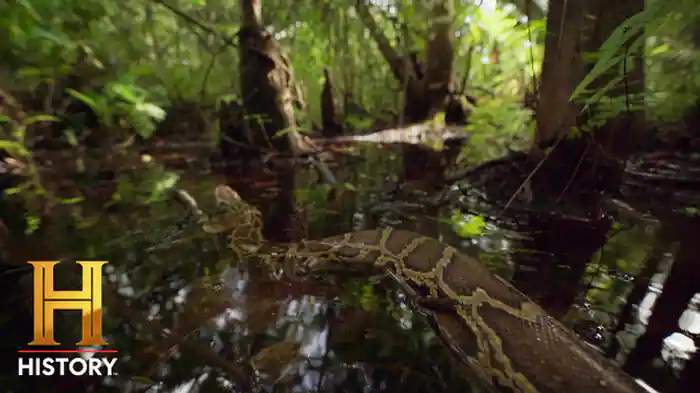 ヴェノム・ウォーリアー