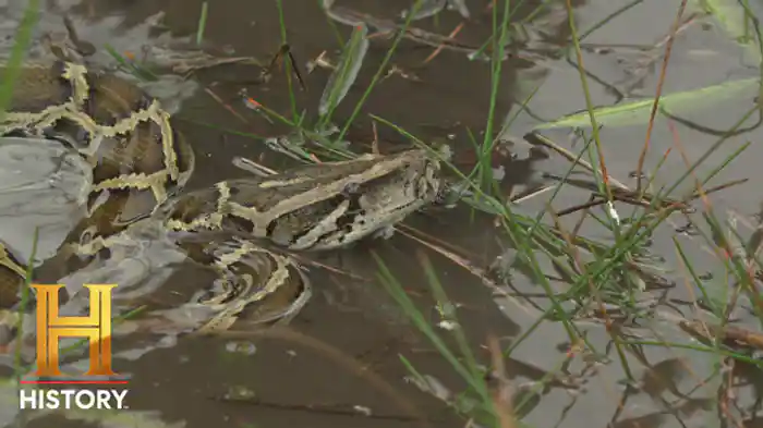ワニの巣とゴーストタウン