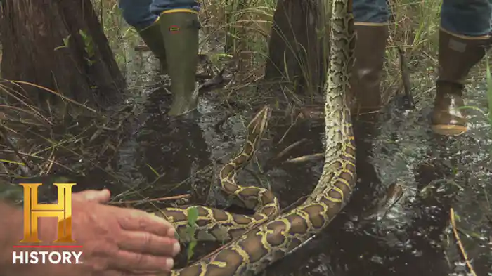 アウトロー・カントリー