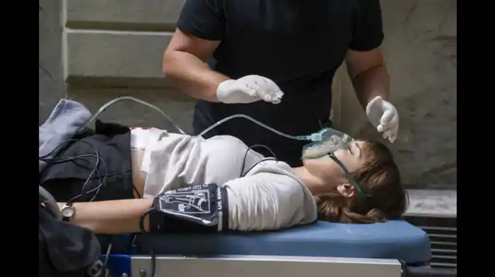 アルプスの強盗