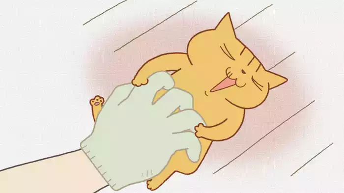 「軍手偏愛者」