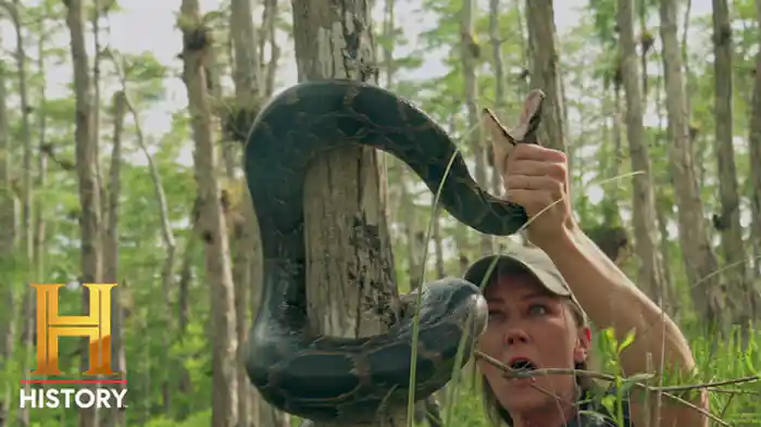 アース・シェイカー