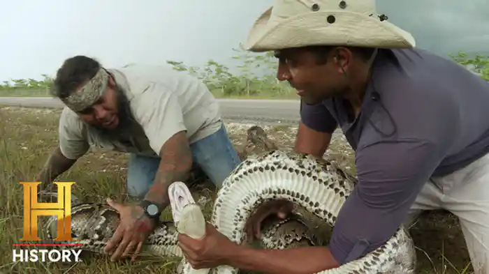大量発生のホット・スポット