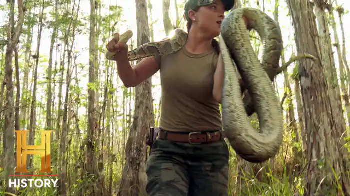 危険な香りのノース・エリア